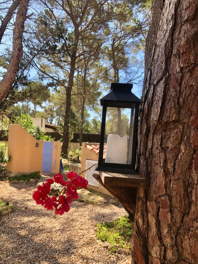 Apartamento Sa Ginebra, كالا ساونا المظهر الخارجي الصورة